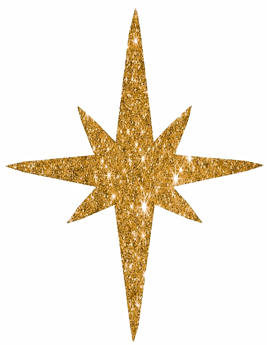 Refine Star Icon