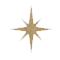 Refine Star Icon